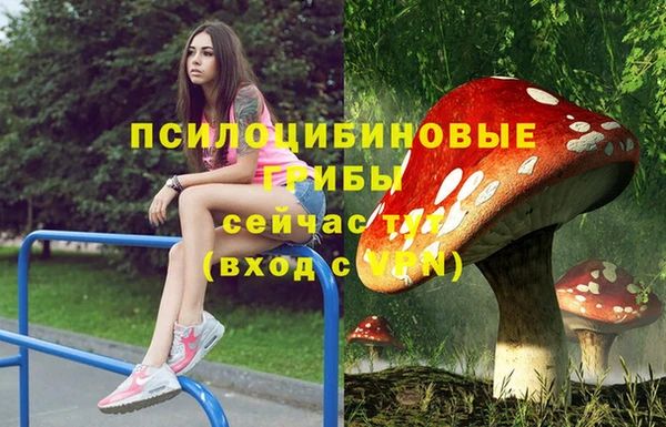 мет Абаза