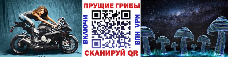 Псилоцибиновые грибы GOLDEN TEACHER  Сысерть 